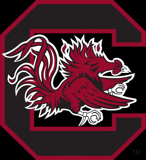 south carolina game|South Carolina Gamecocks .